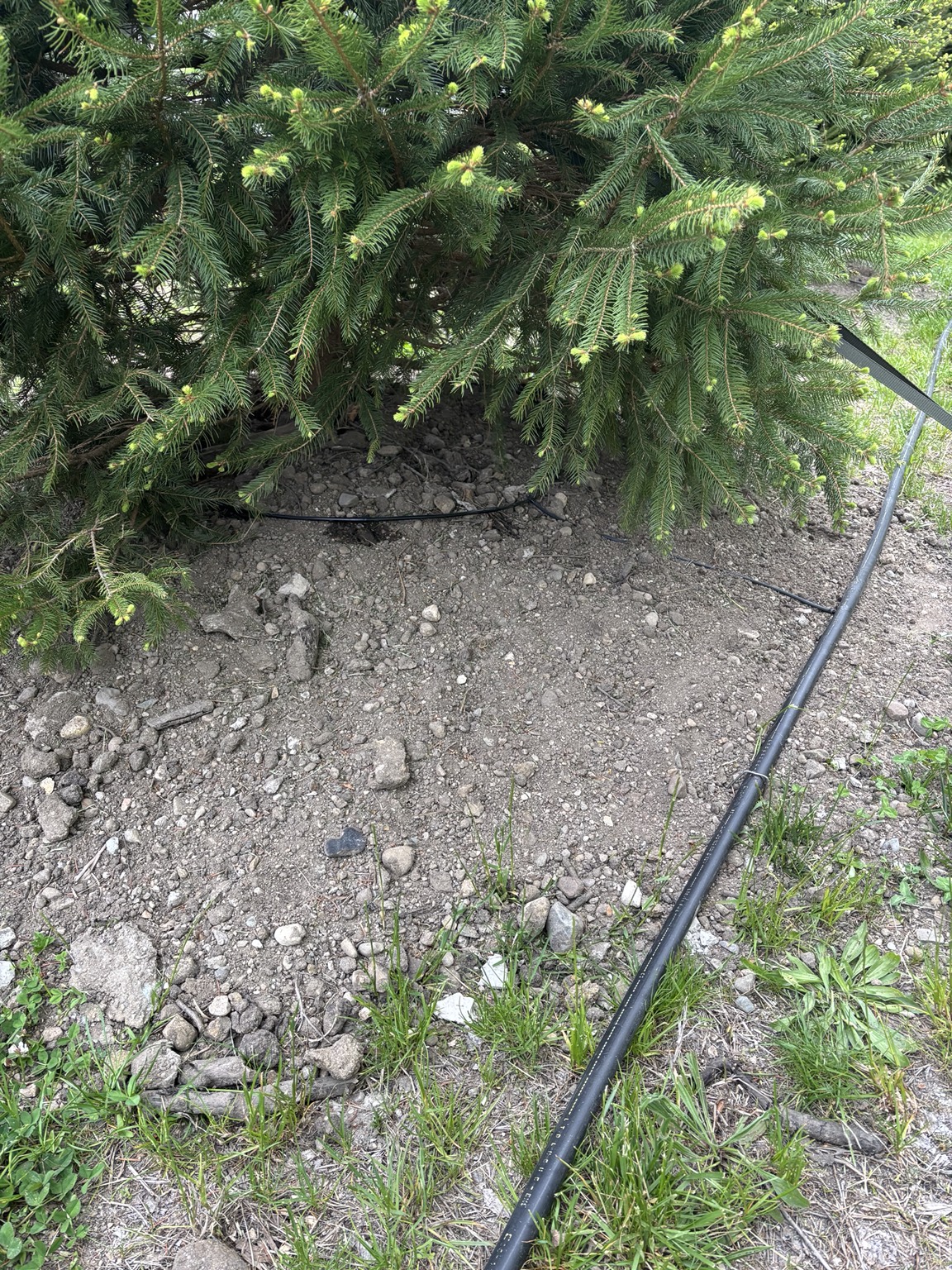 Drip Irrigation Detail
