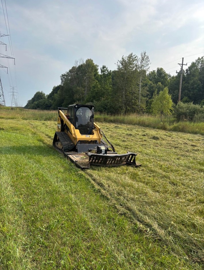 Field Clearing