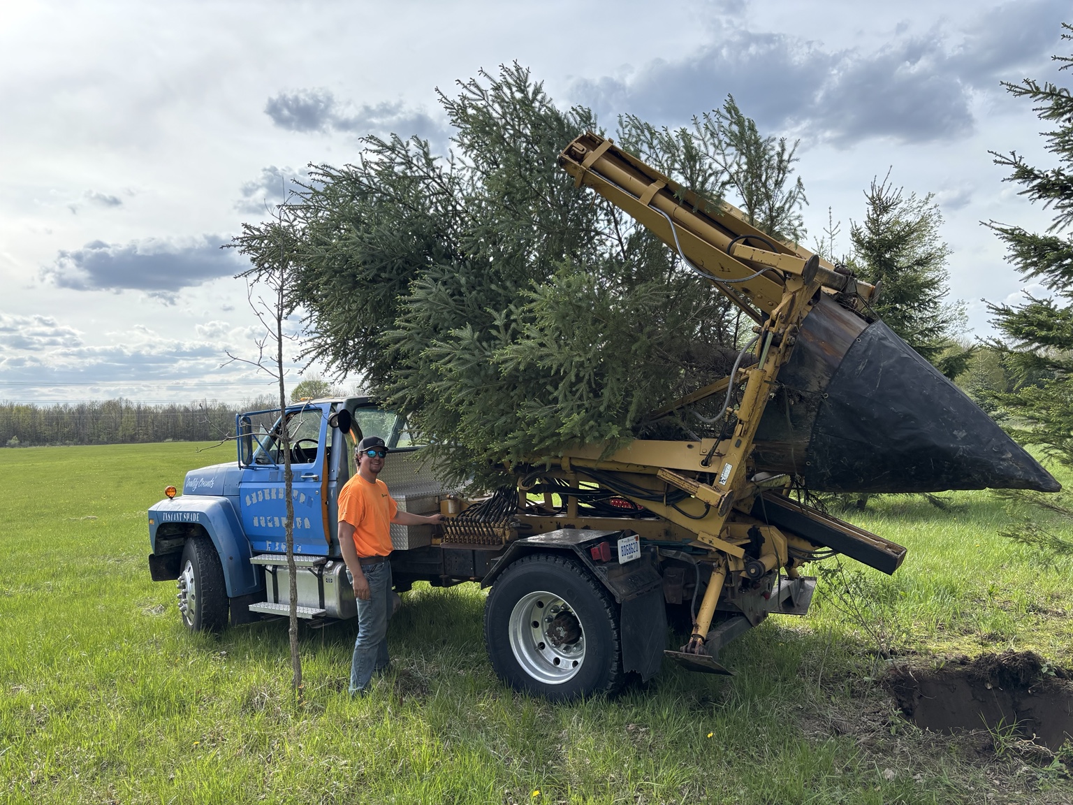 Tree Moving