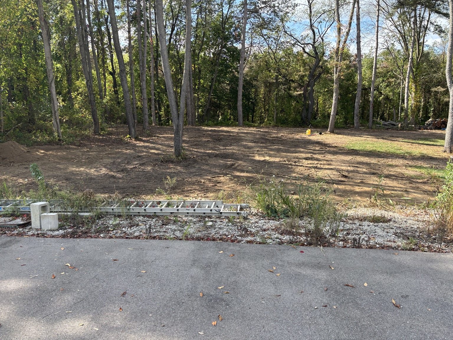 Wooded Area Cleanup
